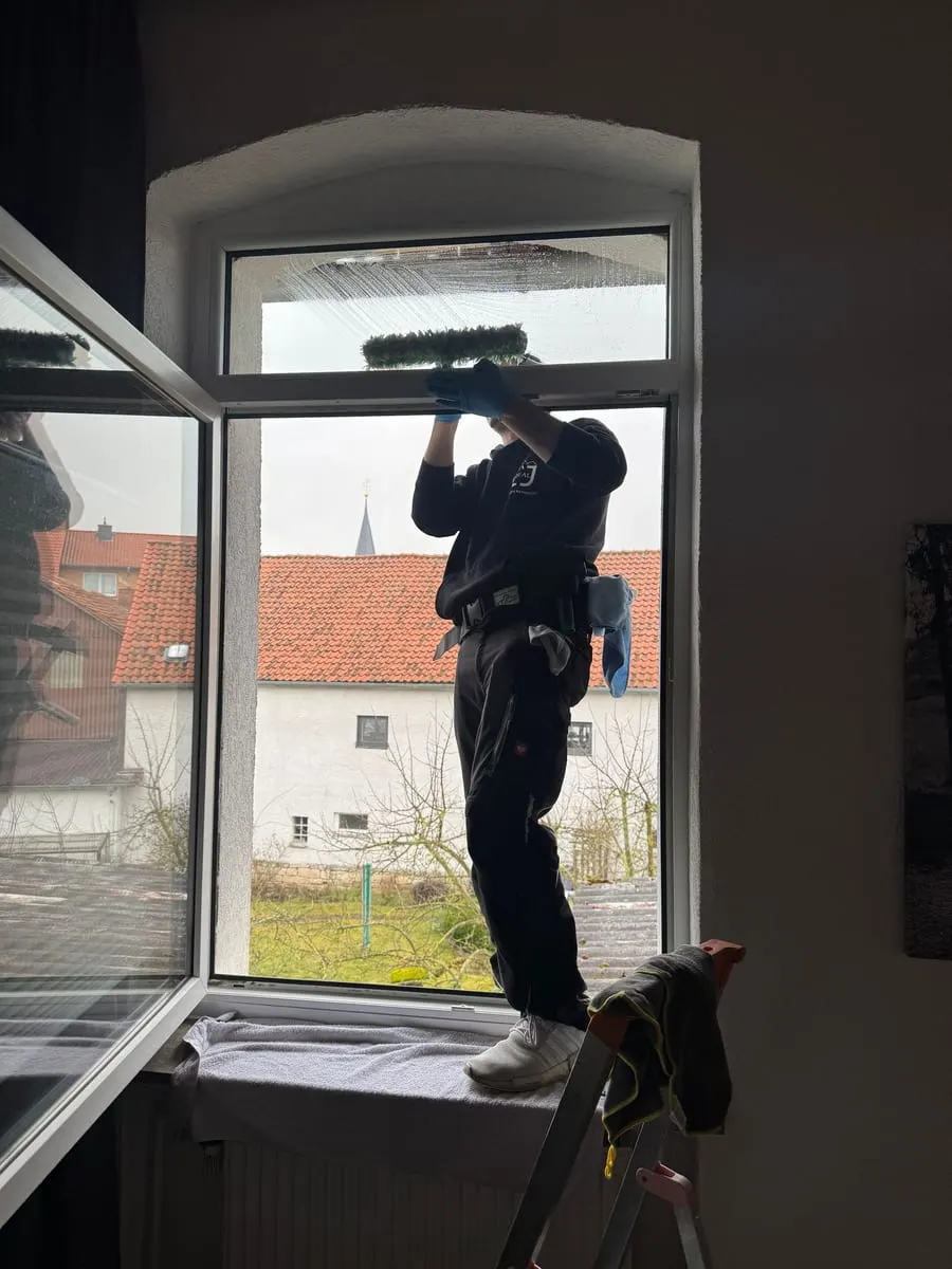 Fensterreinigung